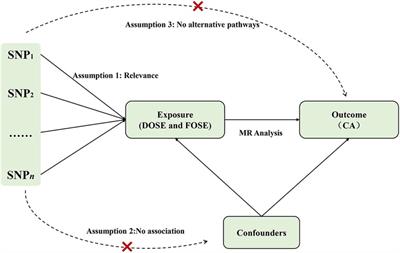 No causal association between the volume of strenuous exercise and coronary atherosclerosis: a two-sample Mendelian randomization study